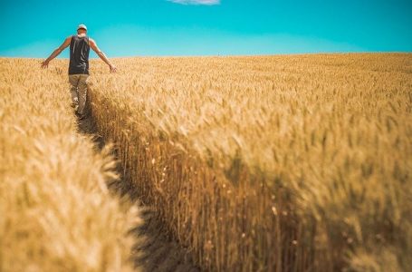 Agricultores são capacitados para uso de recursos públicos