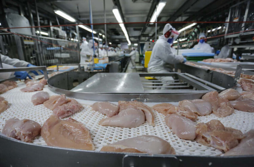 Exportação de carne do Paraná cresce 20,8% nos primeiros meses de 2025