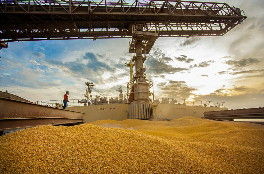  Paraná ocupa segundo lugar nas exportações de milho