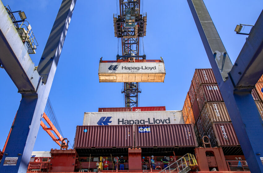 44% das exportações de frango