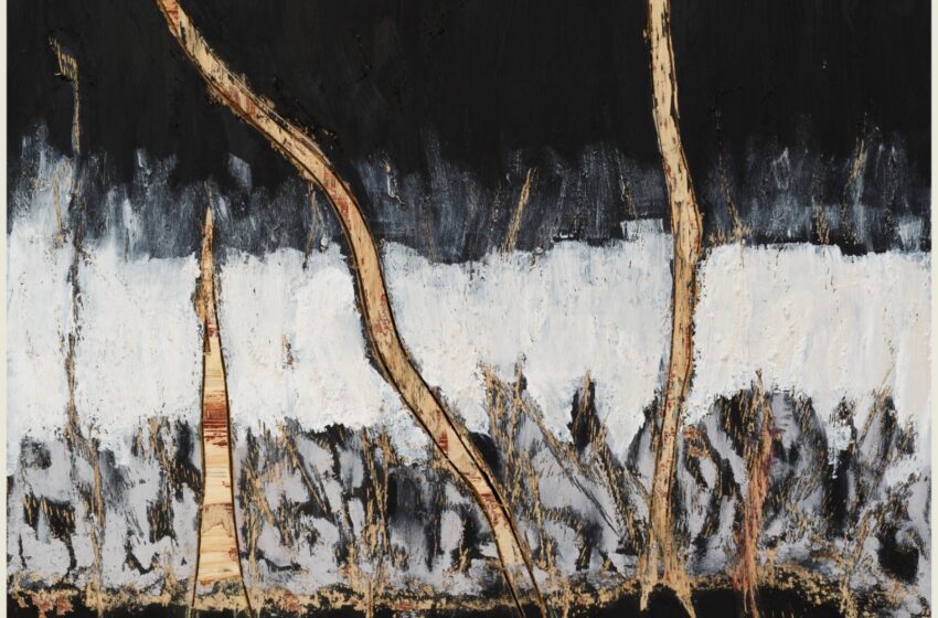  CAIXA CULTURAL CURITIBA APRESENTA A EXPOSIÇÃO YARA MARTINS, DA PAISAGEM À MEMÓRIA, EM SILÊNCIO GRITA