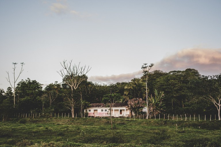 Federais lideram pesquisas sobre emergência climática no Brasil