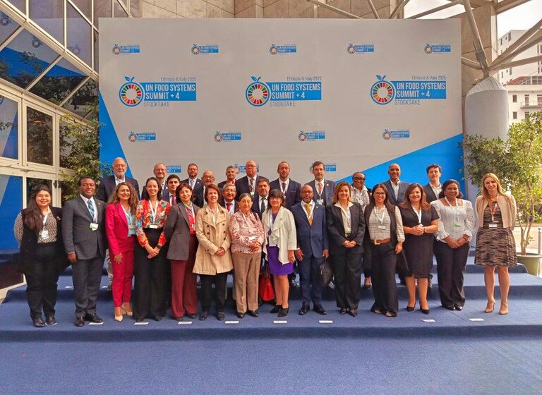  MEC participa da Cúpula dos Sistemas Alimentares da ONU