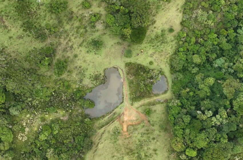Paraná tem projeto de proteção de microbacias