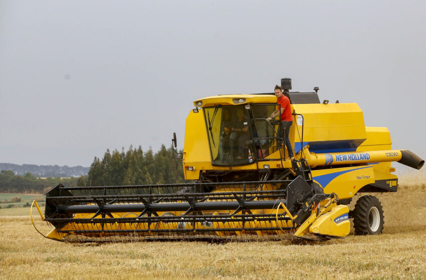  Salários da agropecuária do Paraná crescem no 2º trimestre