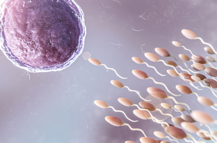  Doenças silenciosas ameaçam a fertilidade 