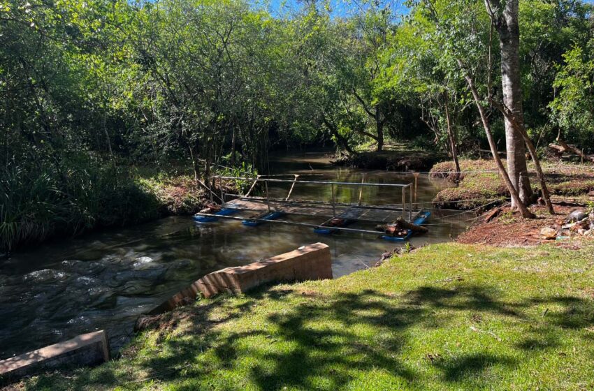 Empregados da Sanepar criam ecobarreira para proteger manancial