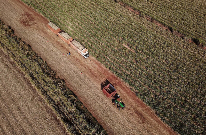 Paraná cresce três vezes acima da média nacional em agosto