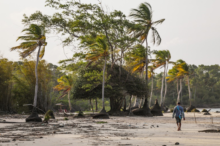  100% das iniciativas do MIDR estão alinhadas aos ODS