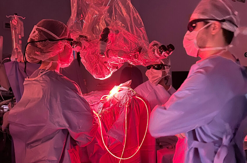  Instituto de Neurologia de Curitiba promove simpósio internacional