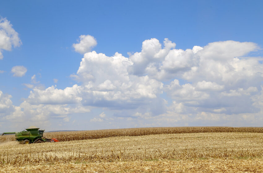  Paraná cresceu acima da média nacional em 2023