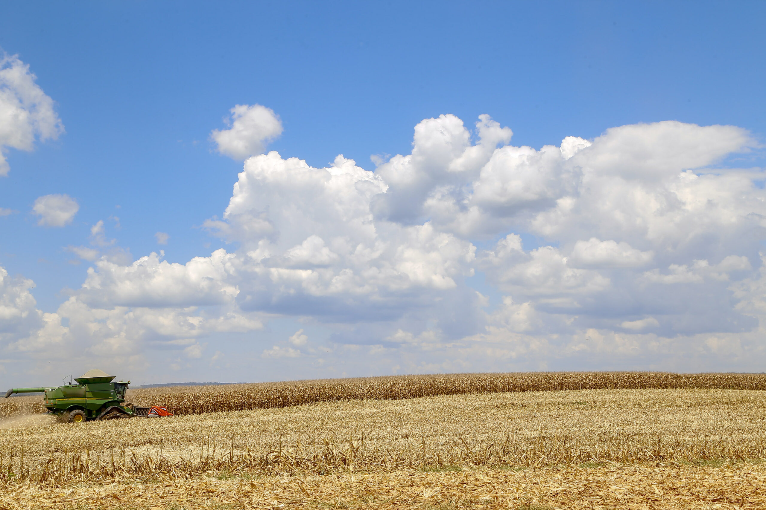 Colheita de milho – 2021. Foto: Gilson Abreu/AEN