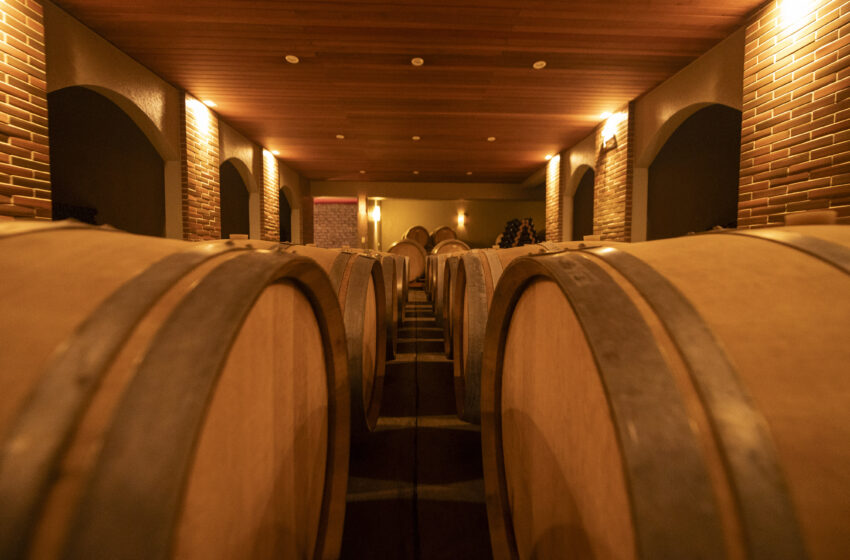  Vinícolas no Paraná