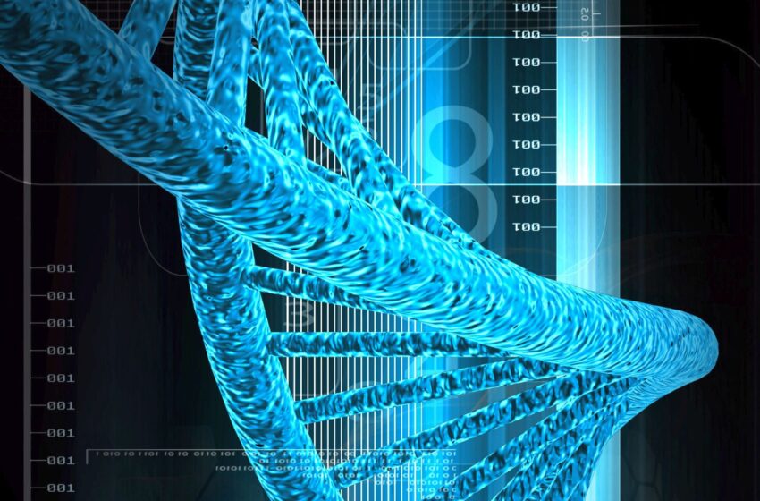  Estudos investigam colesterol que pode aumentar o risco de infarto e AVC