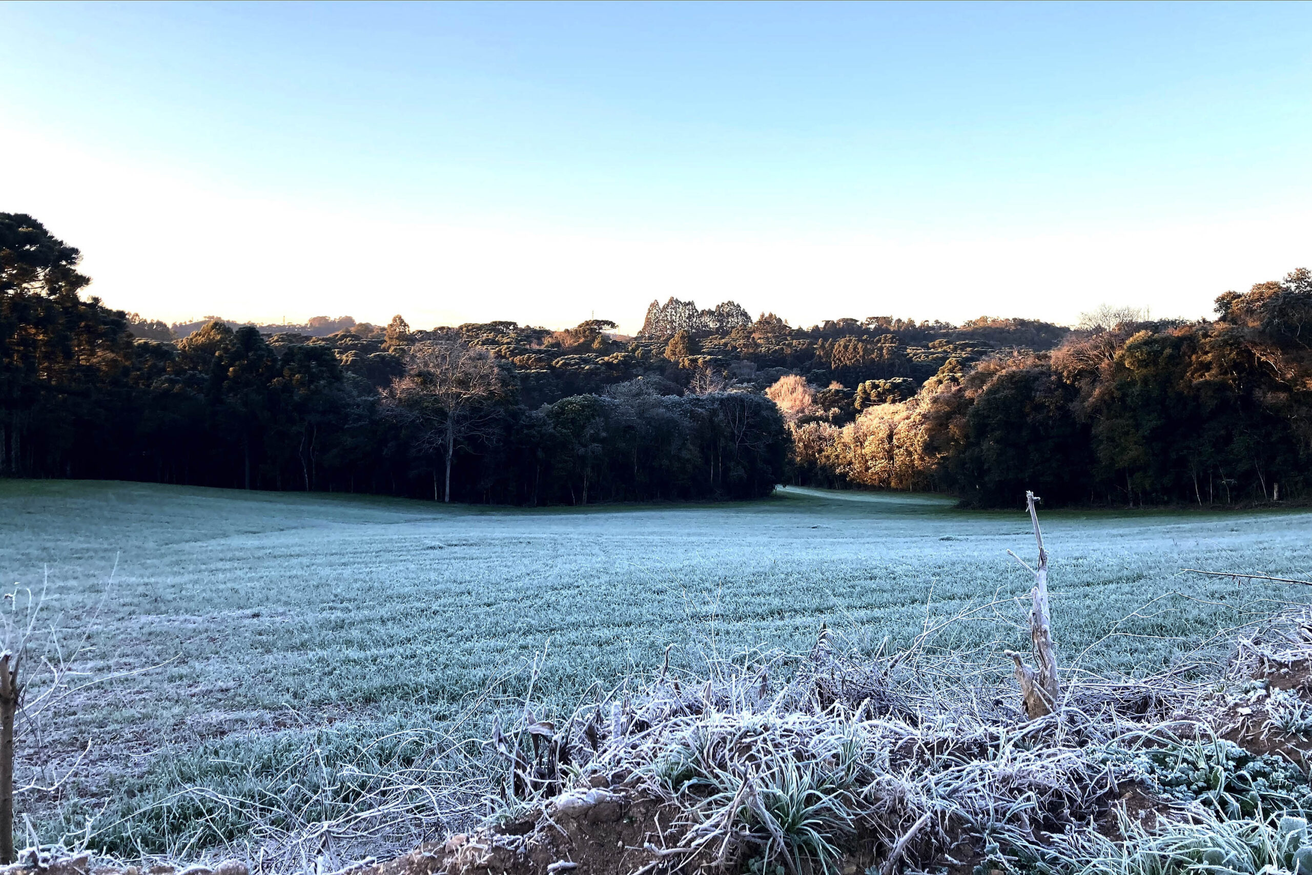 Extremos nas temperaturas e tornados: 2025 registrou dados meteorológicos históricos no Paraná
Foto: Ana Tigrinho/AEN