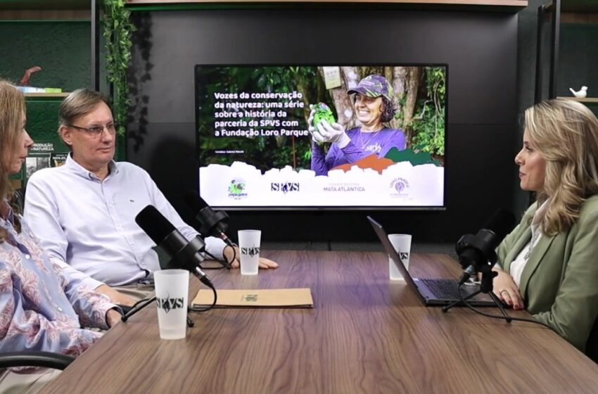  SPVS lança videocast