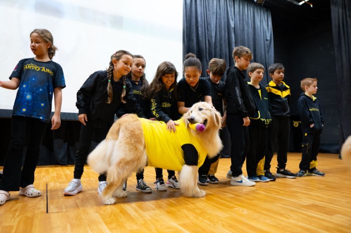  Especialista destaca sinais de alerta, impactos emocionais e a importância de ações preventivas para combater o bullying no ambiente escolar