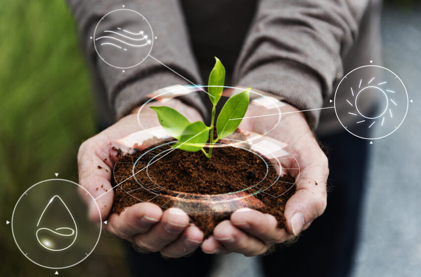  Empreendedorismo Verde: como a bioeconomia impulsiona pequenos negócios no Paraná